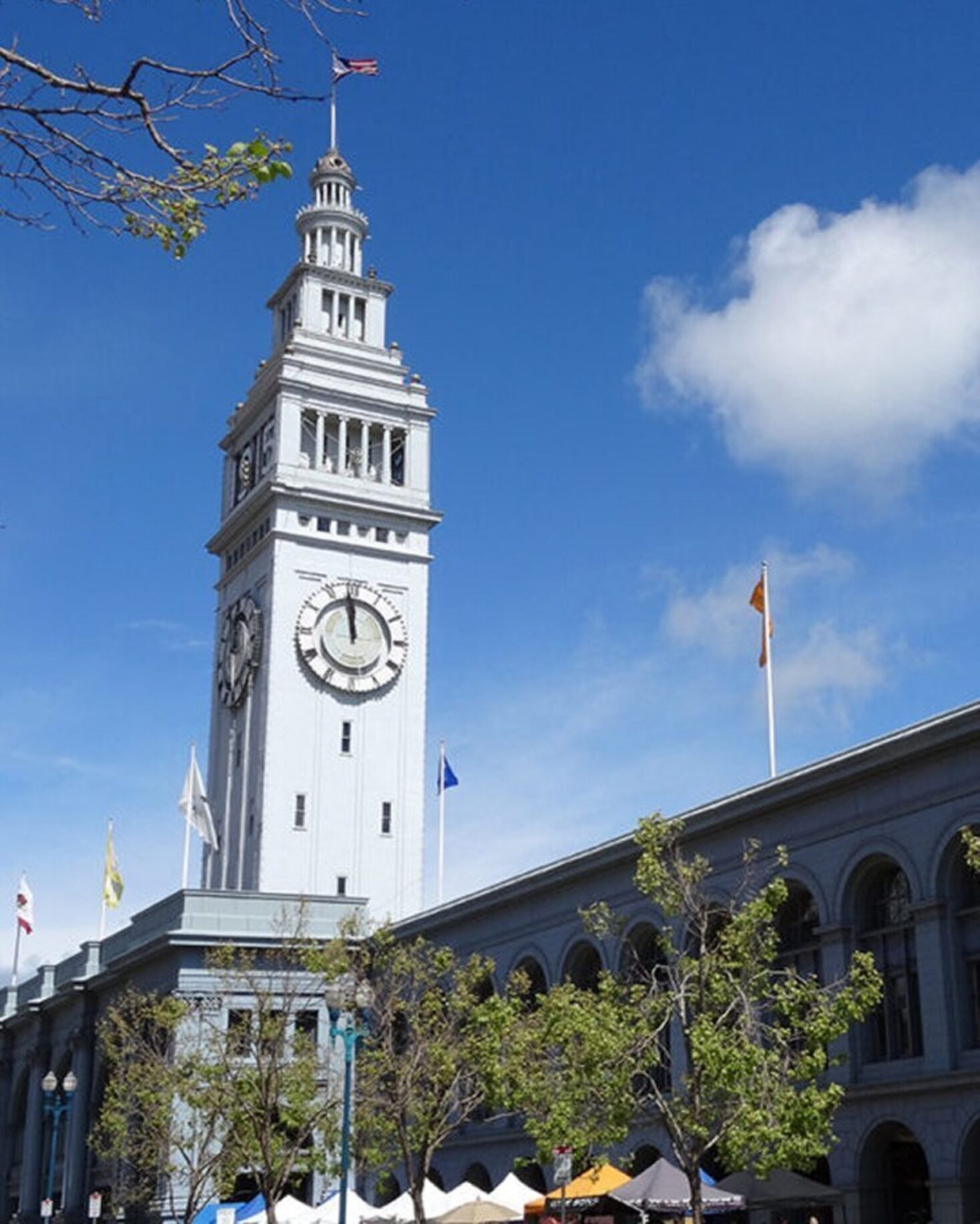 Government & Municipal