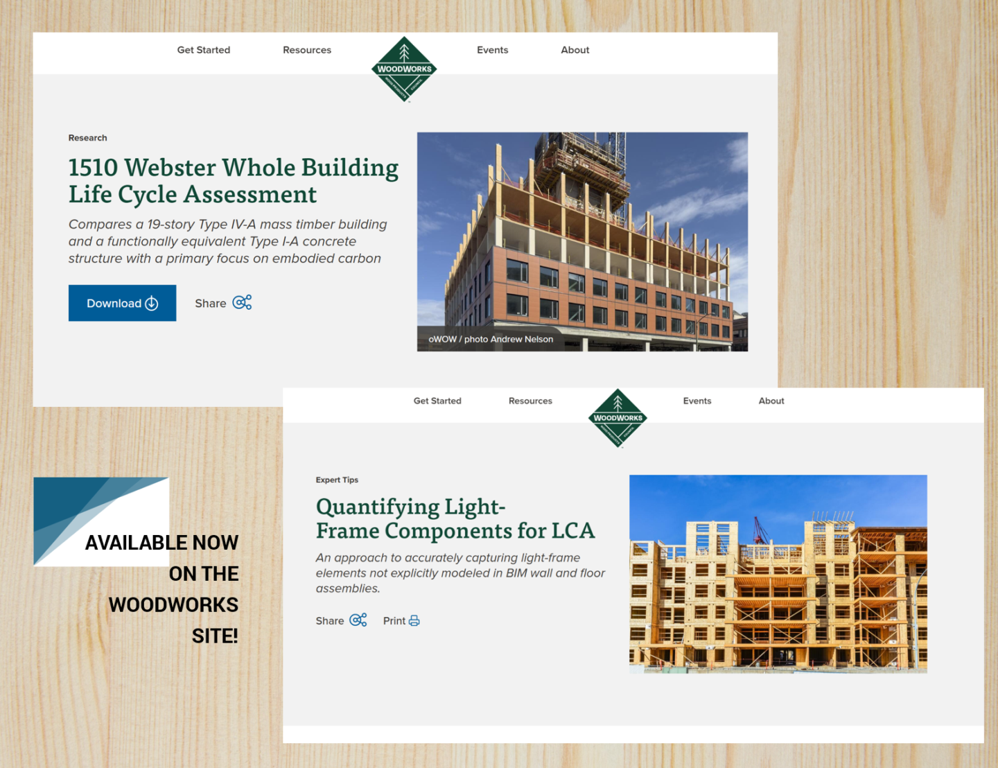 Wood Works Case Studies Image