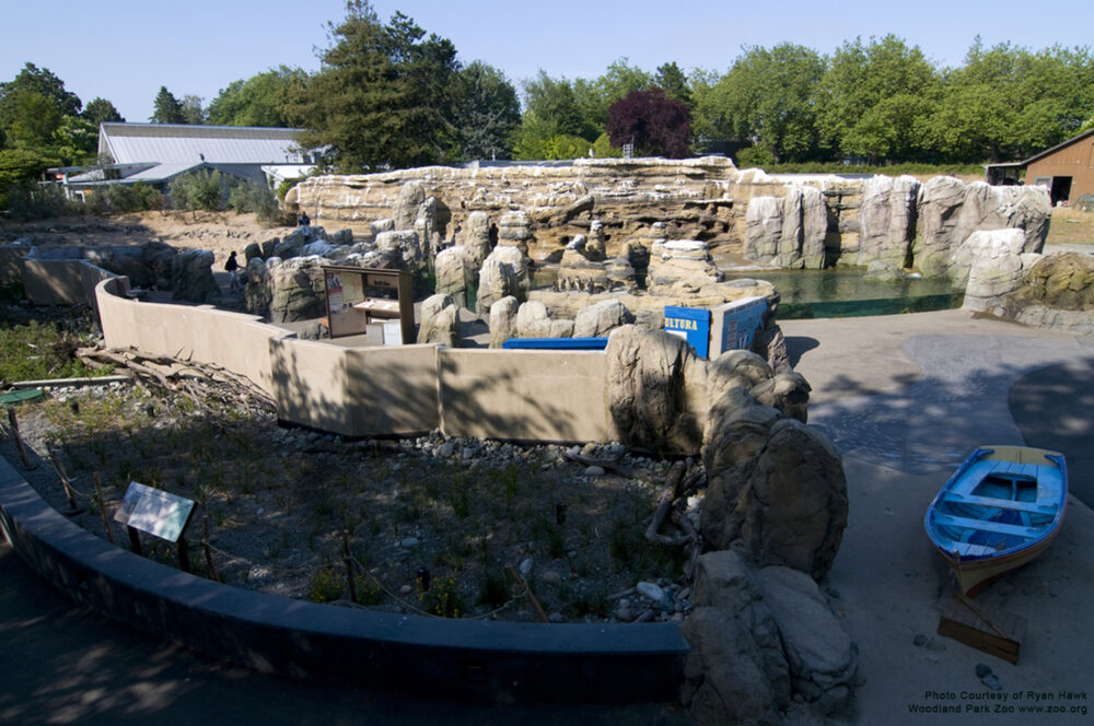 Woodland Park Zoo Penguin Exhibit_2009 07 15 R Hawk0051 photocred