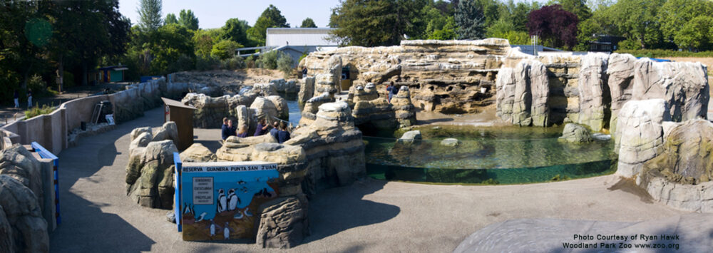 Woodland Park Zoo Penguin Exhibit_2009 07 15 R Hawk03 PANO photocred