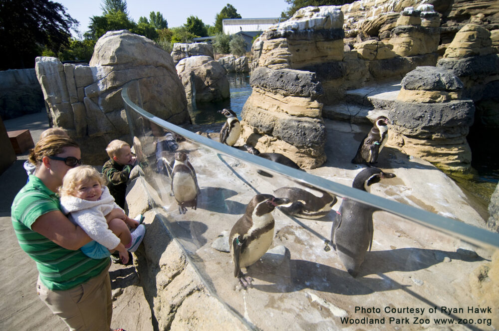 Woodland Park Zoo Penguin Exhibit