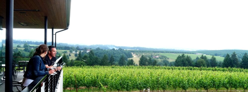 Ponzi Vineyards_IMG 1186