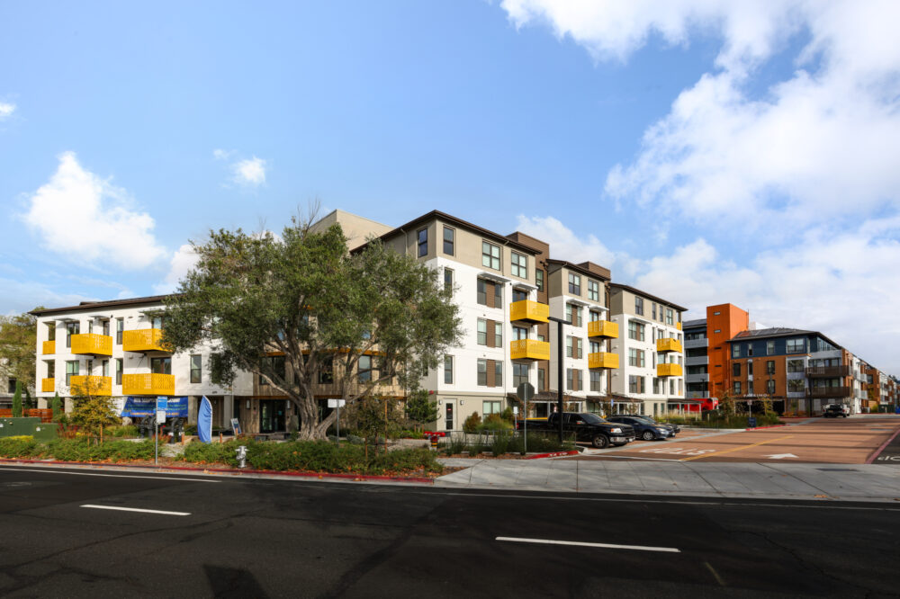 Whisman at the Sevens IMG 002