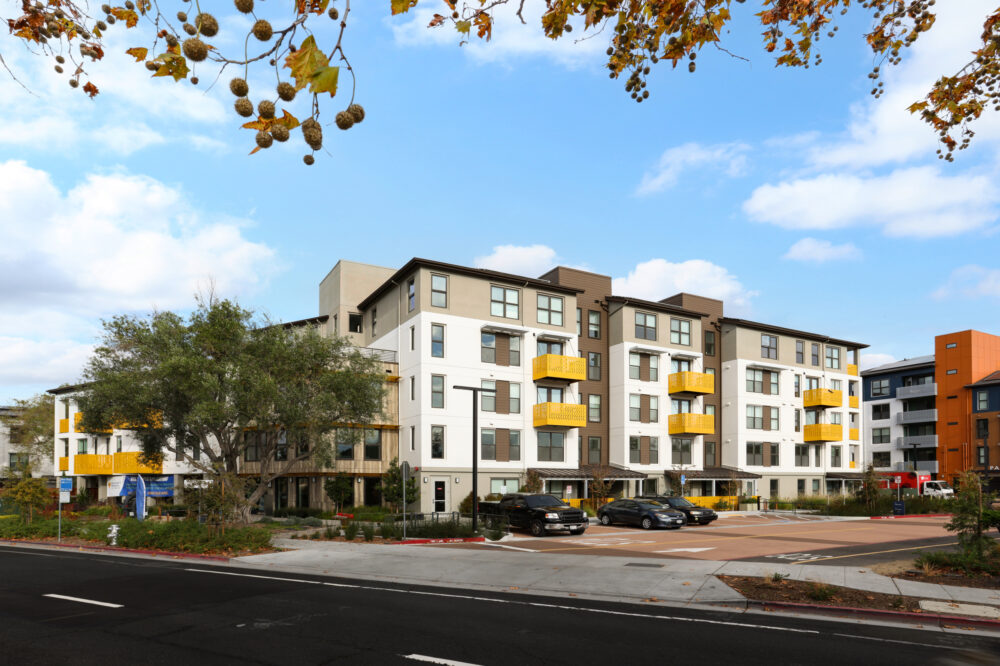 Whisman at the Sevens IMG 003