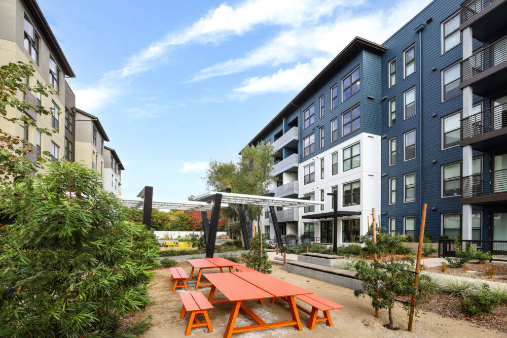 Whisman at the Sevens IMG 004