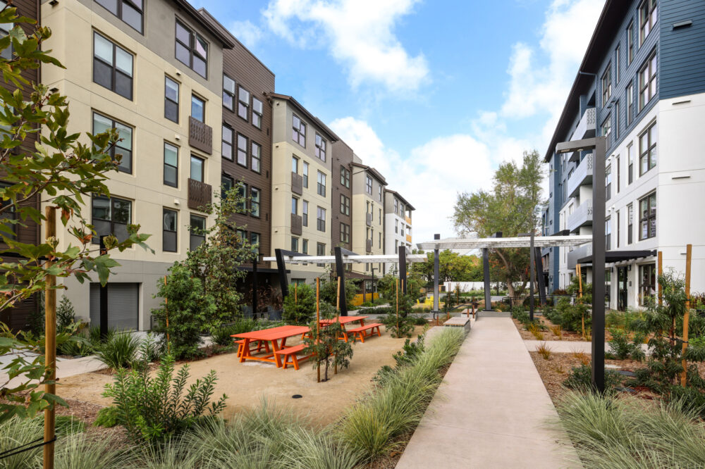 Whisman at the Sevens IMG 005